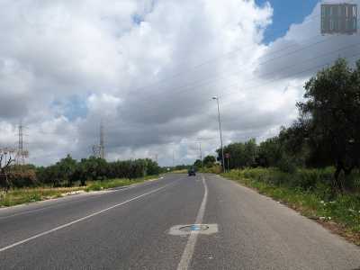 Per poter uscire da Loseto � necessario avere un�automobile. E� assolutamente impensabile procedere a piedi o in bicicletta su viale Trisorio Liuzzi, una strada ad alta percorrenza dove le macchine sfrecciano a tutta velocit� nonostante i limiti